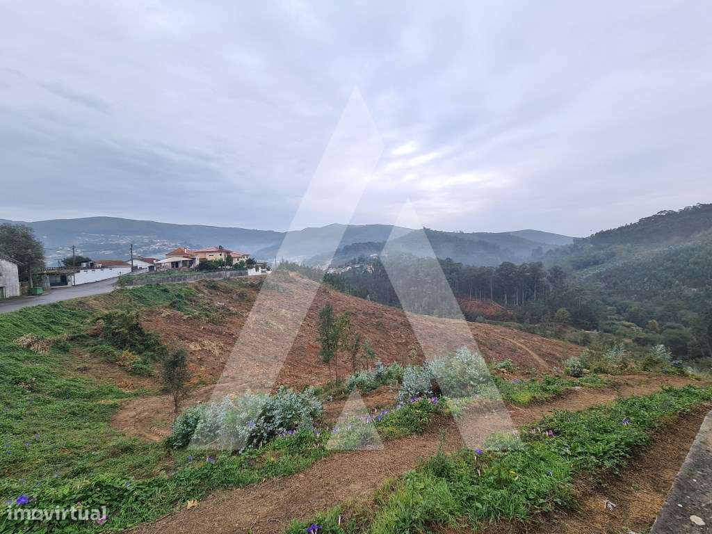 Terreno em Vale de Cambra - Grande imagem: 4/10