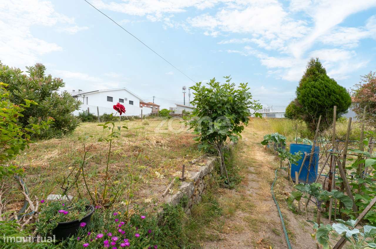 Terreno com viabilidade para construção - S. Romão do Coronado - Tr... - Grande imagem: 2/15