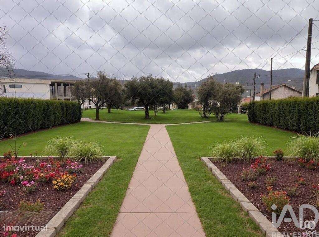 Terreno para construção T1 em Maçainhas de 2090,00 m2 - Grande imagem: 5/18