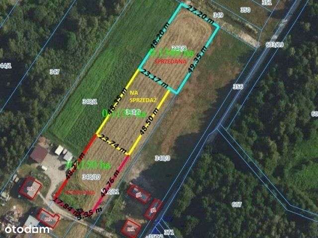 Urokliwa okolica leśny klimat super dojazd Warszwa - Pełny obrazek: 3/8