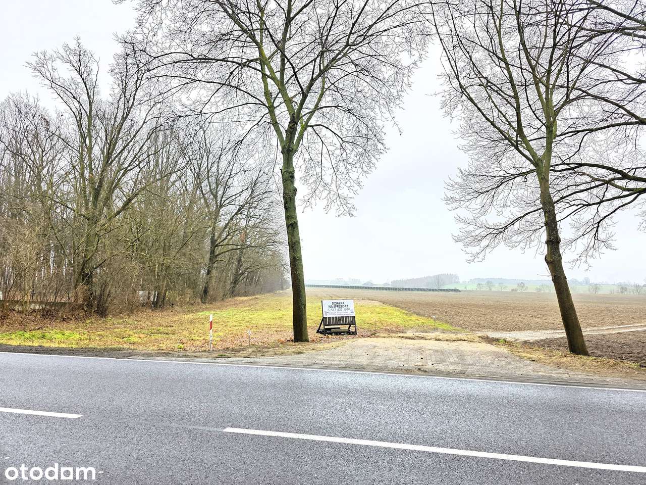 NA SPRZEDAŻ: Działki Budowlane z Warunkami Zabudowy –  ul. Płocka - Pełny obrazek: 4/6