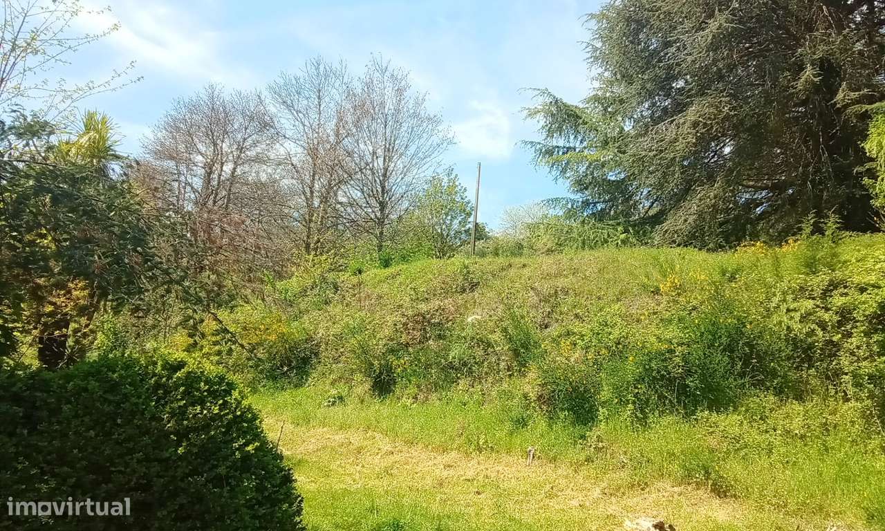 Terreno para Venda em Lamego: Grande Oportunidade de Investimento-1