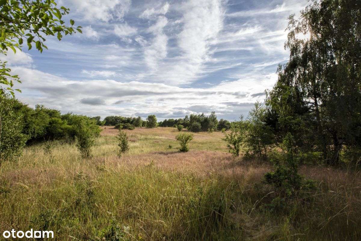 Działka w spokojnej okolicy 5 km od morza / Sarbsk - Pełny obrazek: 5/9