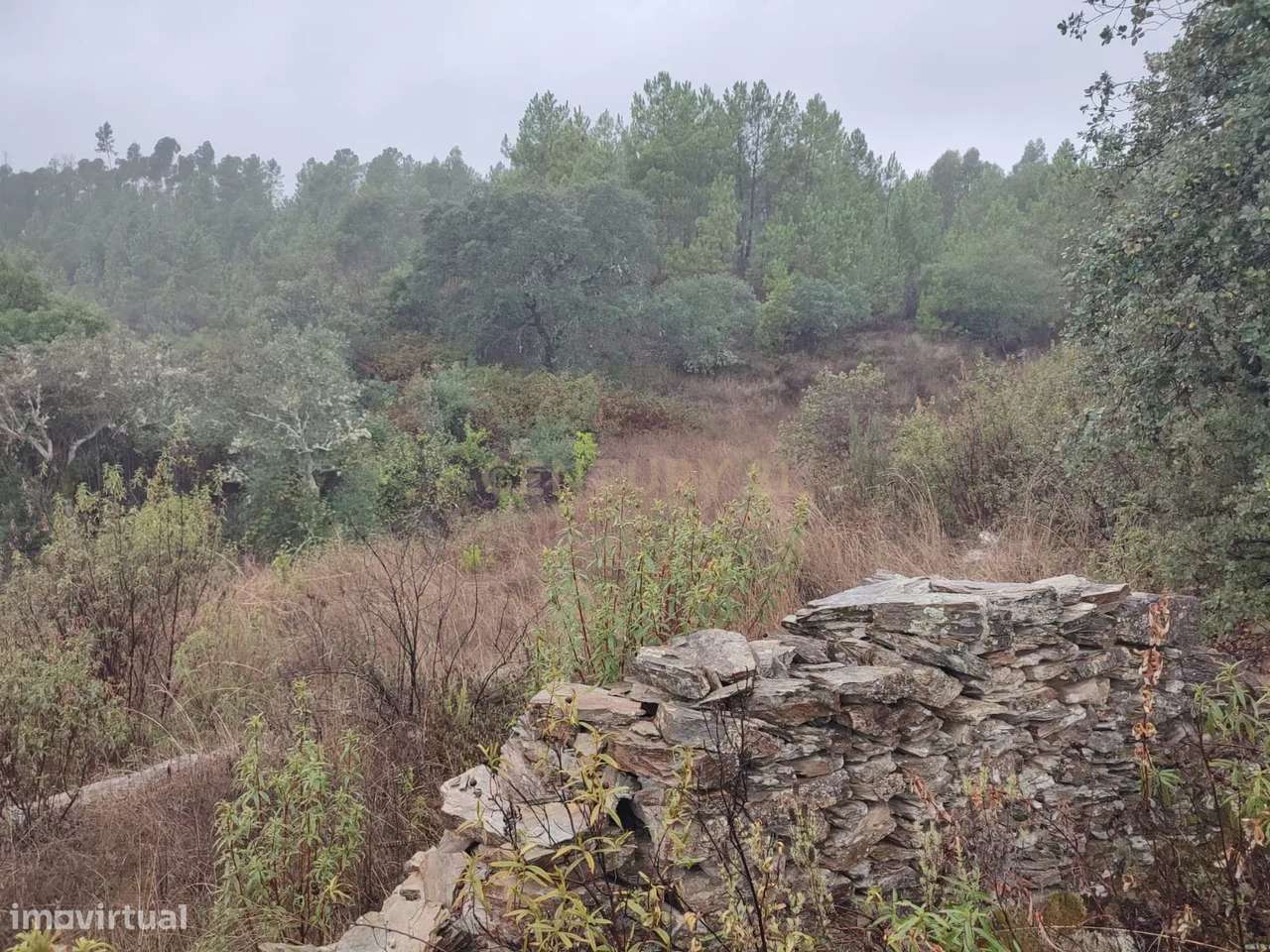 Terreno Rústico com 14.000m2, Chã da Vâ, Castelo Branco - Grande imagem: 3/11