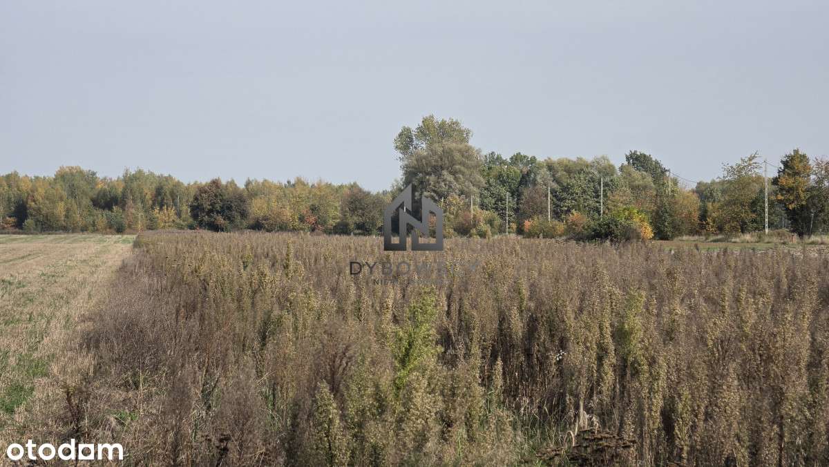 Rzakta gm. Wiązowna działka z WZ 9999m²-0
