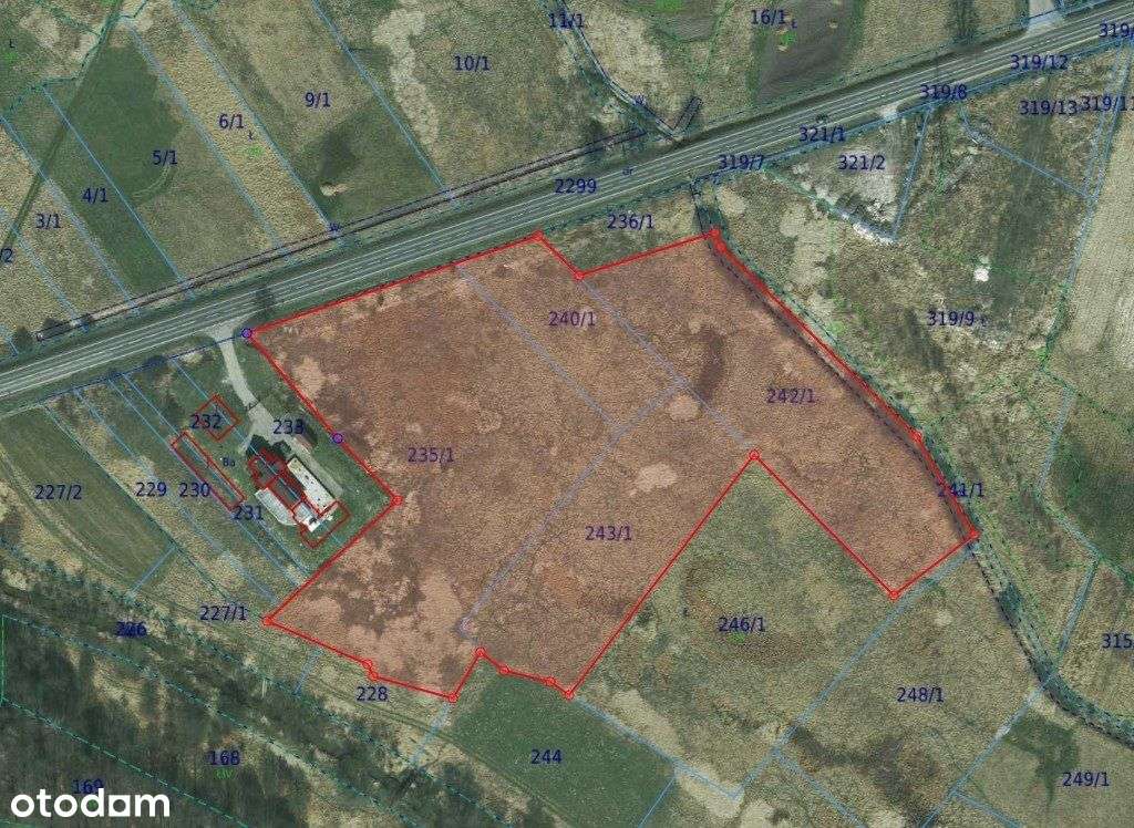 Działka 2ha-płaska, przy głównej drodze, budowlana-11