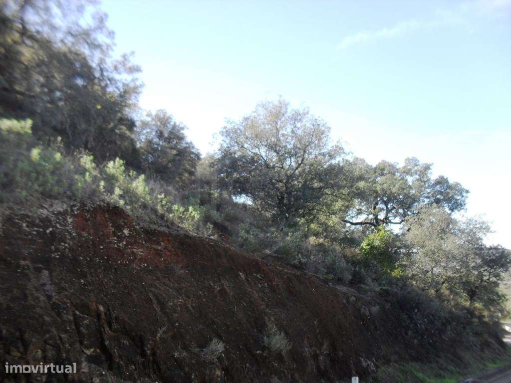 Propriedade Rural com Projeto Aprovado, Loulé, Algarve - Grande imagem: 5/9