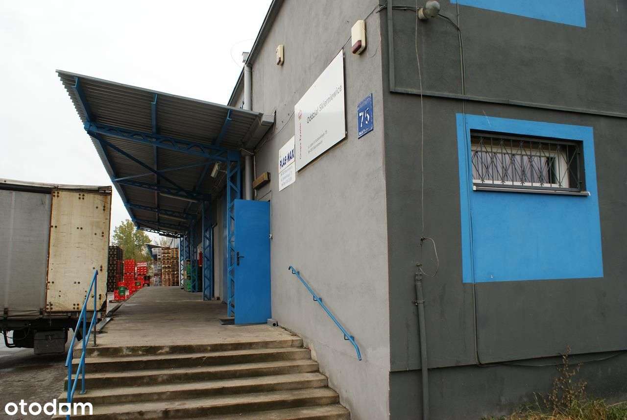 Hala/Magazyn, 42,56 m², Skierniewice - Pełny obrazek: 4/4