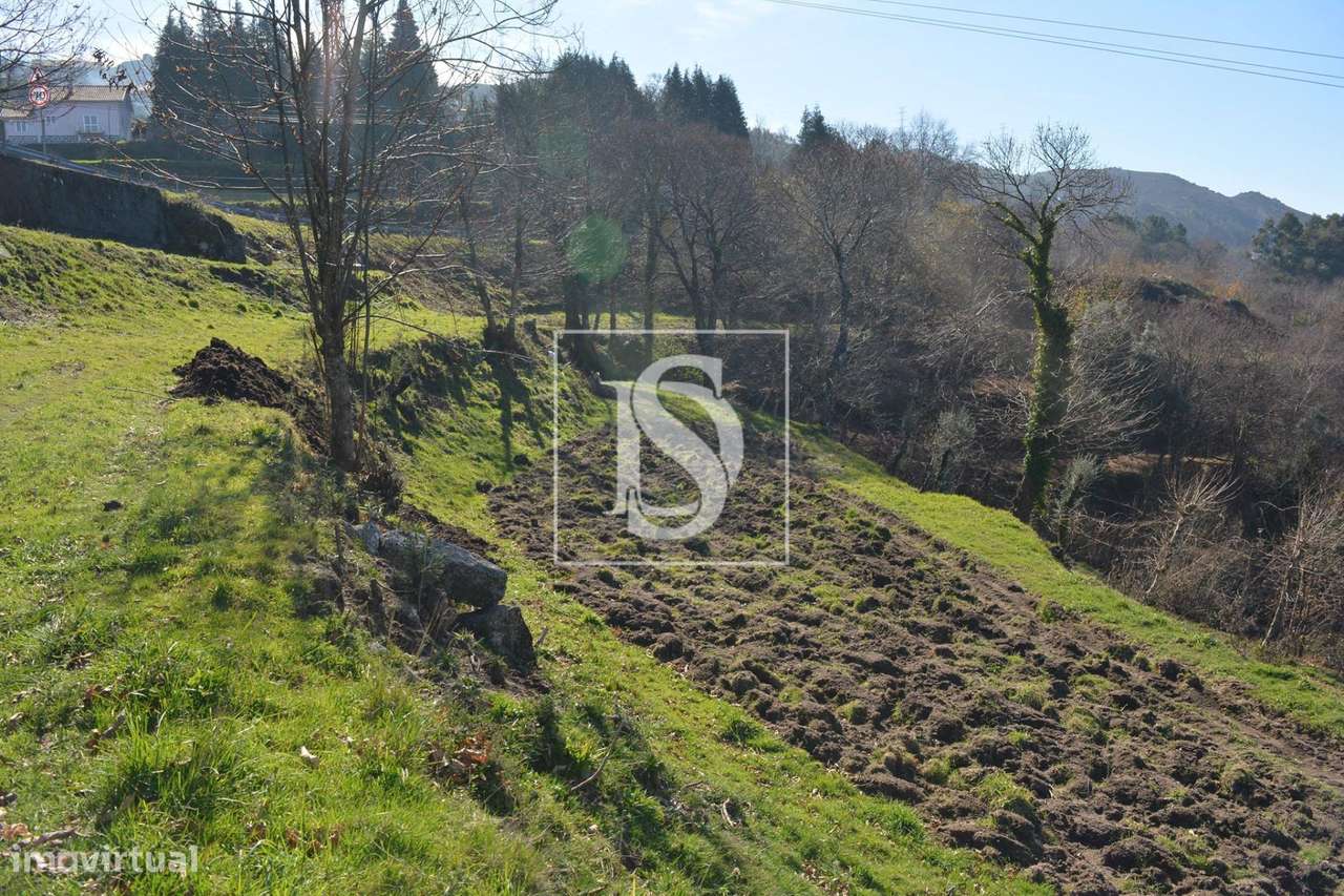 Terreno  Venda em Caniçada e Soengas,Vieira do Minho - Grande imagem: 5/9