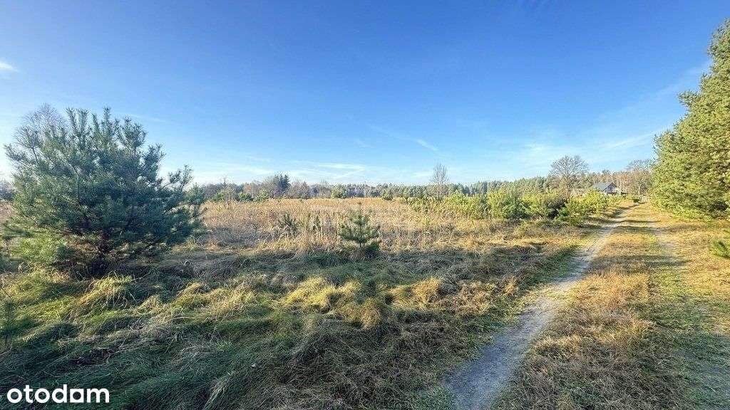 Działka budowlana z lasem | Sokole Pole gm. Janów - Pełny obrazek: 4/9