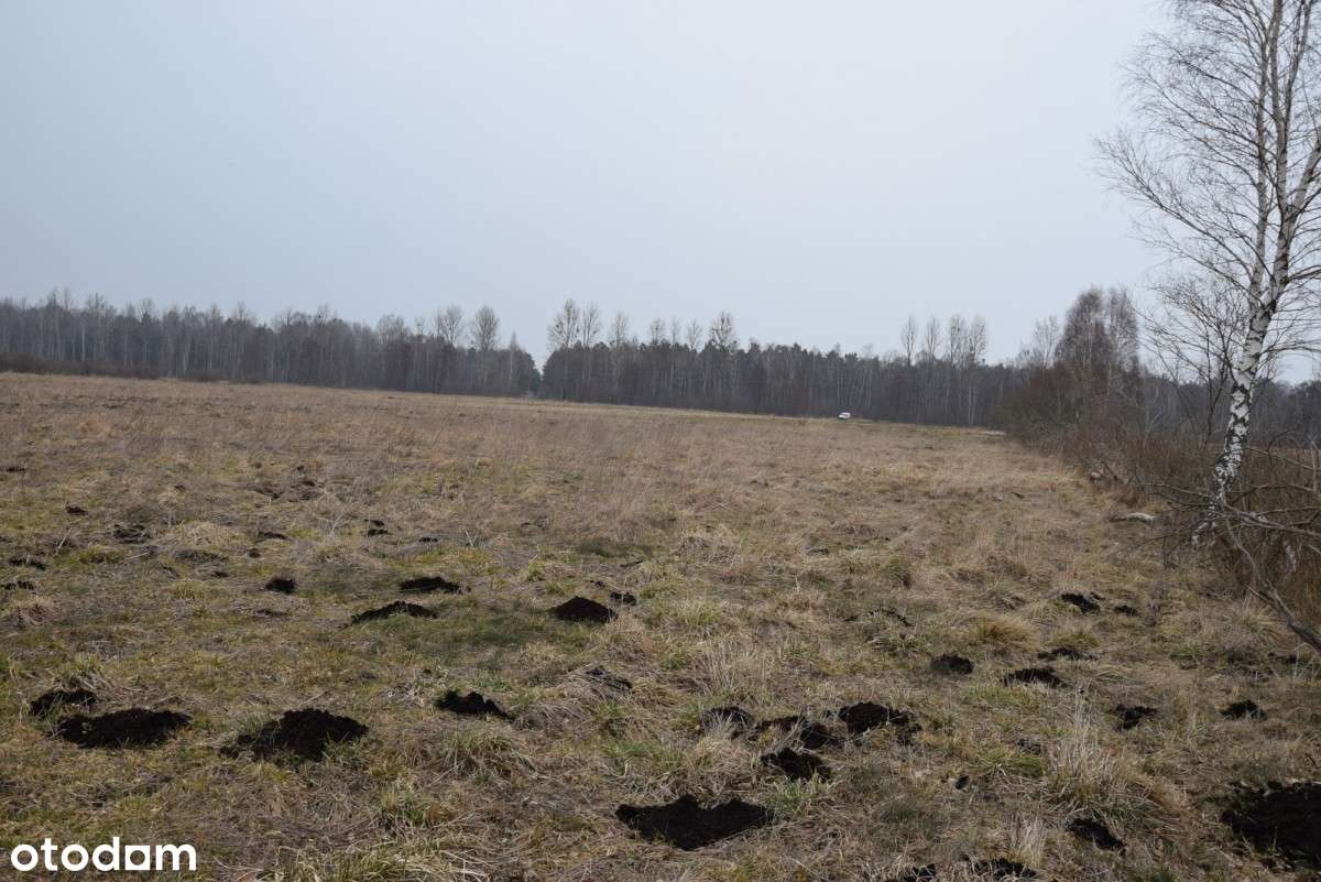 Ziemia rolna w Redkowicach gm.  Nowa Wieś Lęborska - Pełny obrazek: 5/12