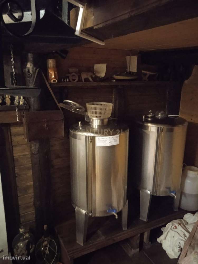 Quintinha - São Tomé de Covelas, Baião-33