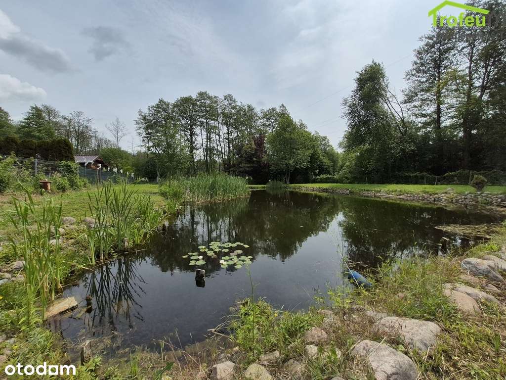 Działka ROD Dr. Jalkowskiego, Mniszek-0