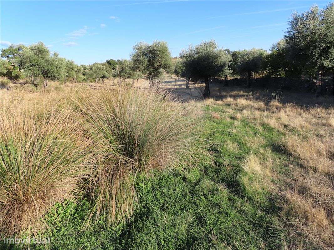 Quinta T0 para venda - Grande imagem: 5/20