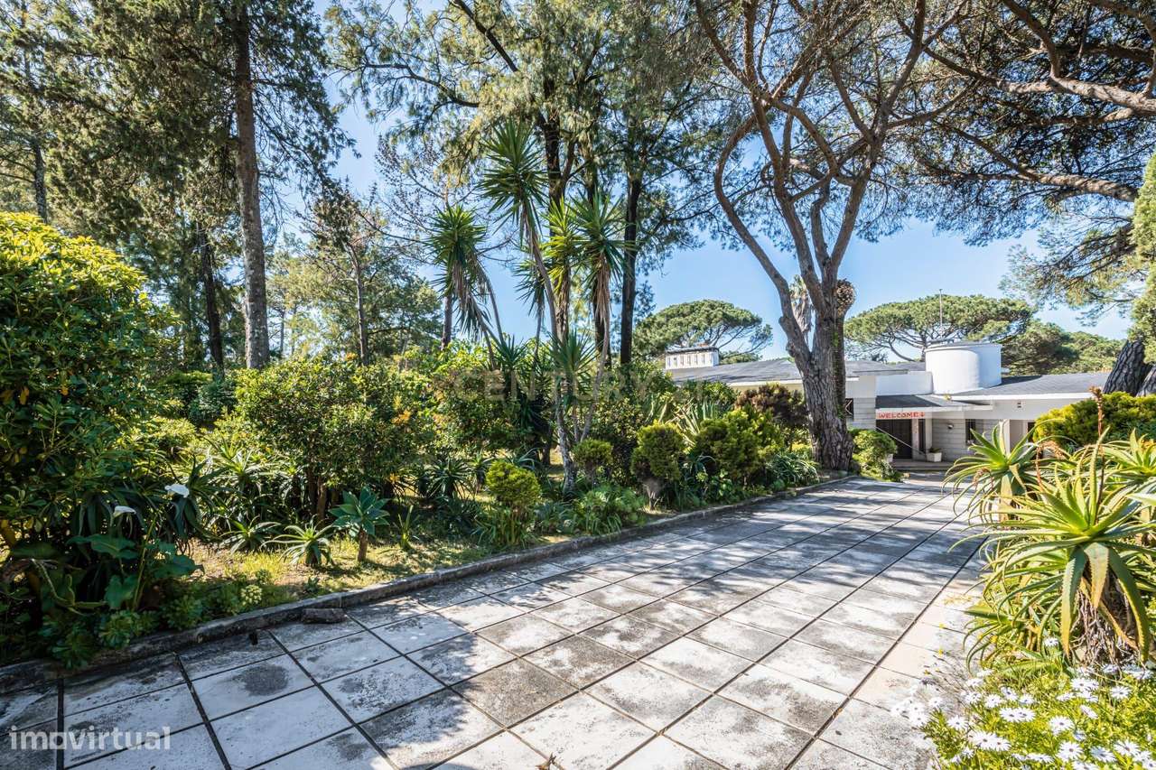 Moradia T12 e terreno 7100 m2-7