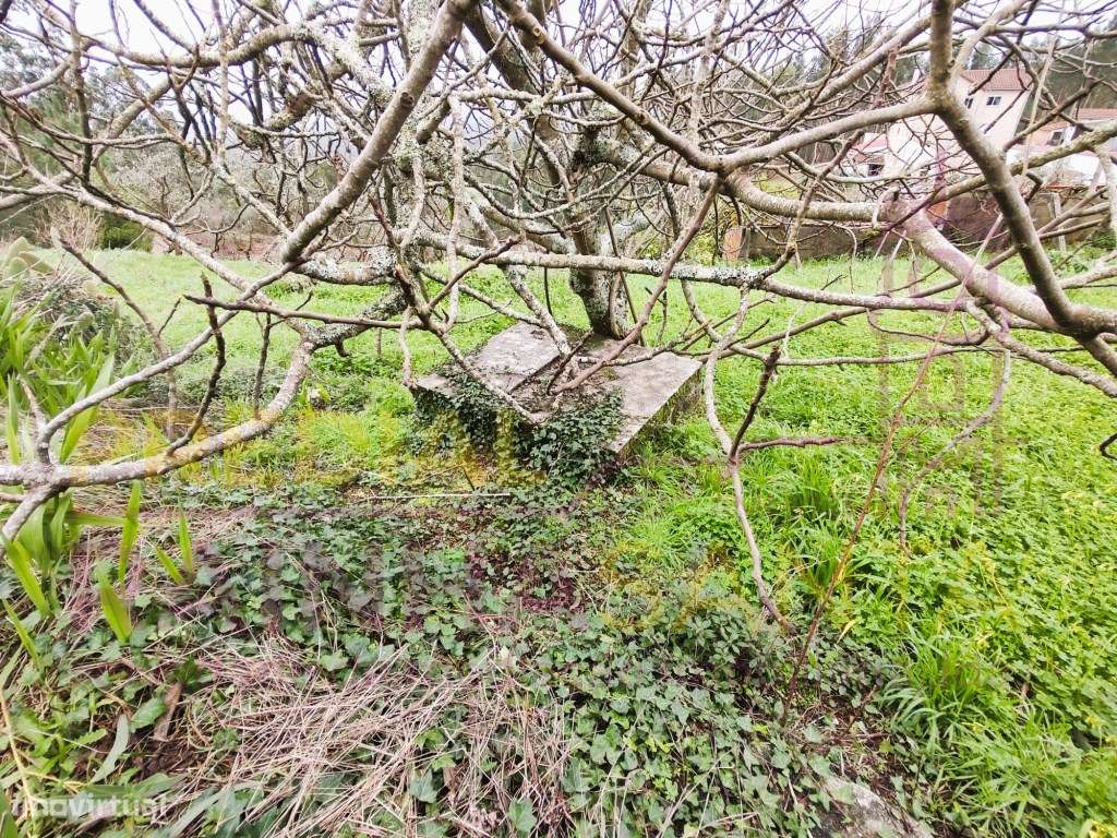 Moradia c/ 5000 m2 terreno , anexos, furo. 16 Km de Coimbra.-20