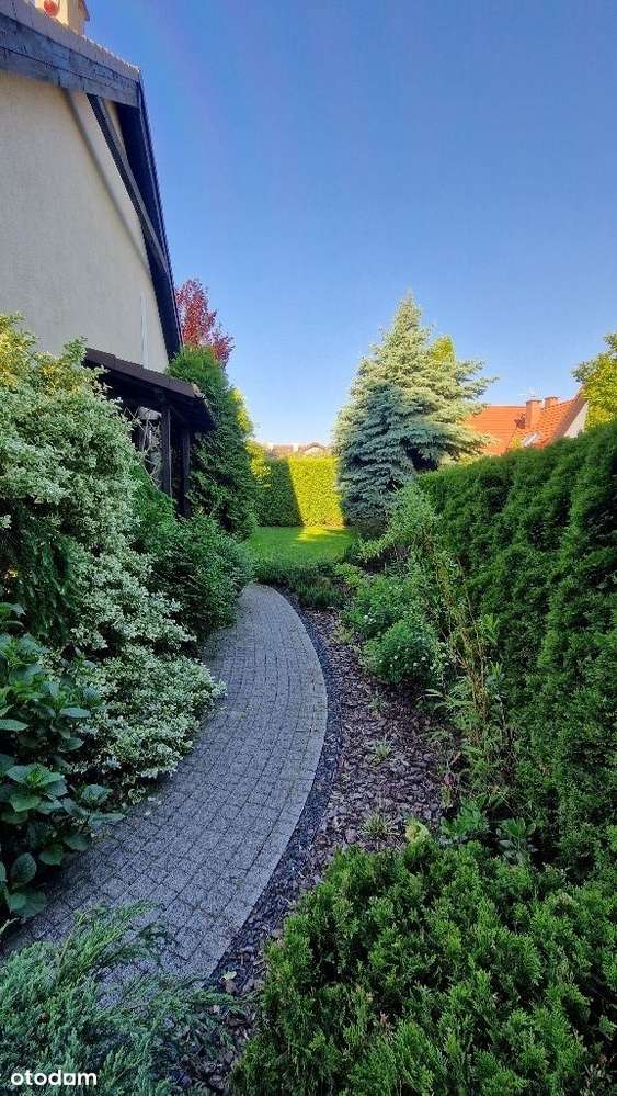 Bliźniak z fotowoltaiką, Suchy Dwór (Gdynia) - Pełny obrazek: 4/18