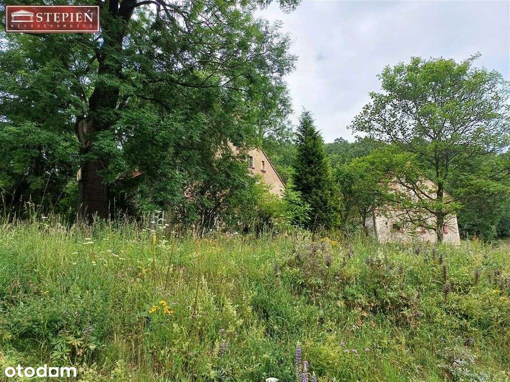 Działka w Kaczorowie na sprzedaż - Pełny obrazek: 4/7