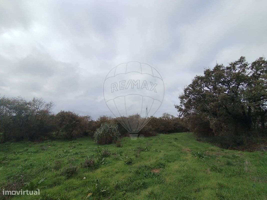 Terreno  para venda-5