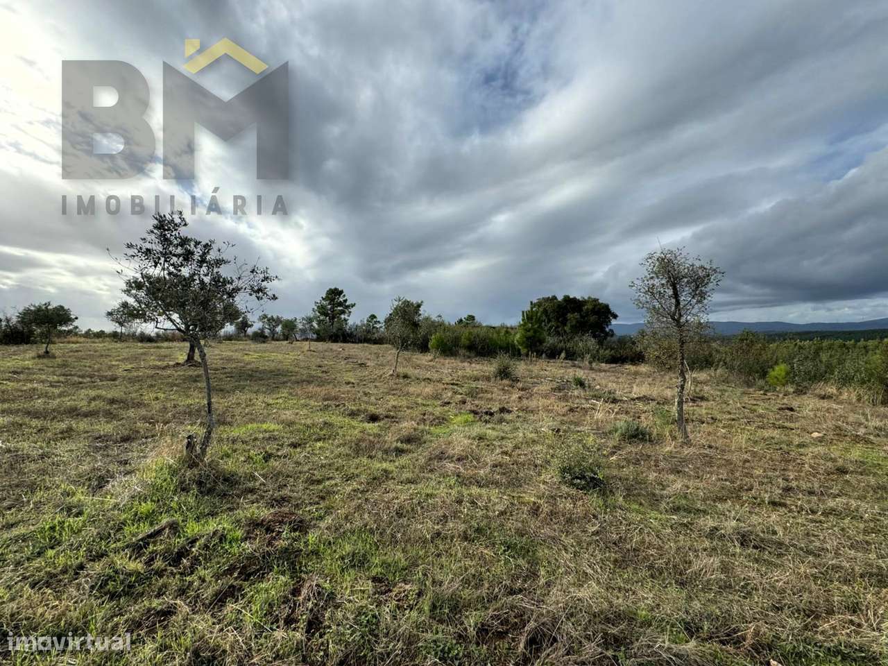 Terreno Rústico  Venda em Ninho do Açor e Sobral do Campo,Castelo Bran - Grande imagem: 5/8