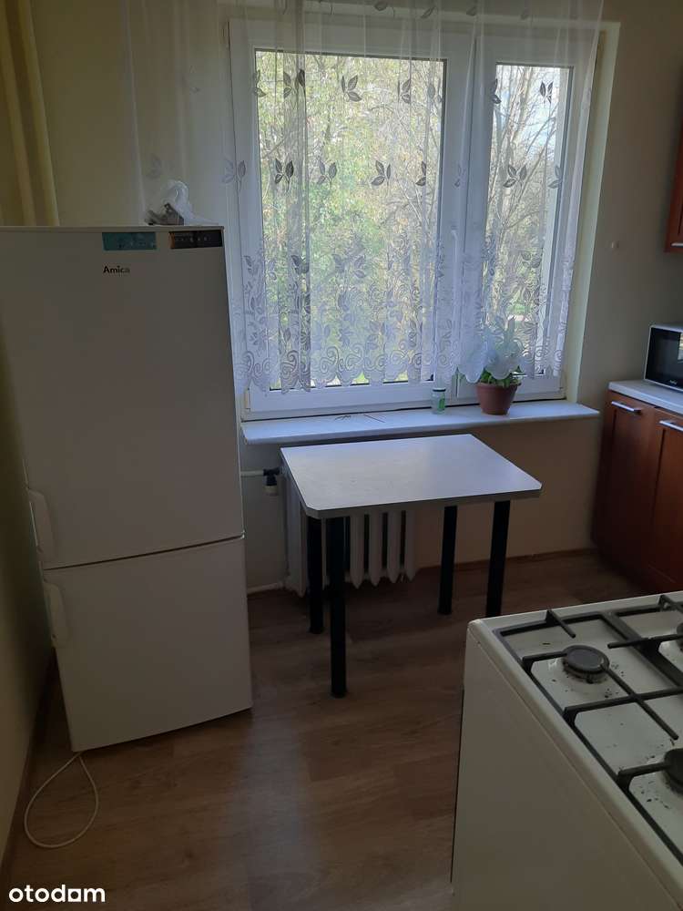 Pokój dla 1 osoby w mieszkaniu 2 pokojowym. - Pełny obrazek: 5/5