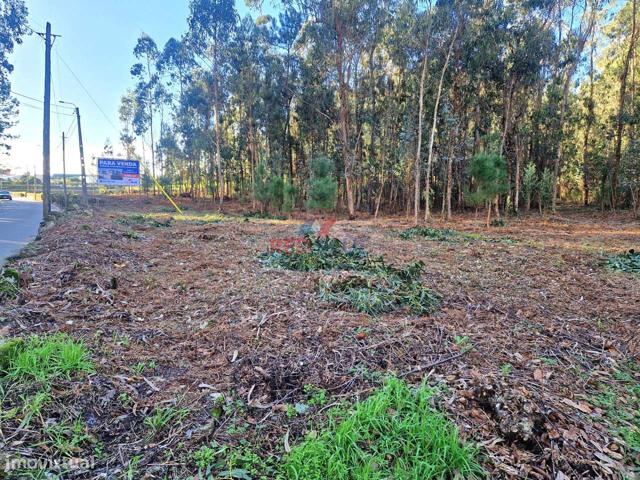 TERRENO PARA CONSTRUÇÃO, NEGREIROS, BARCELOS-5