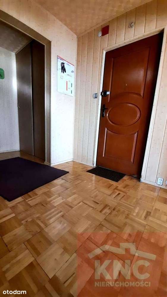 Mieszkanie Binków po podłodze ok 55 m2, dwa pokoje - Pełny obrazek: 5/11