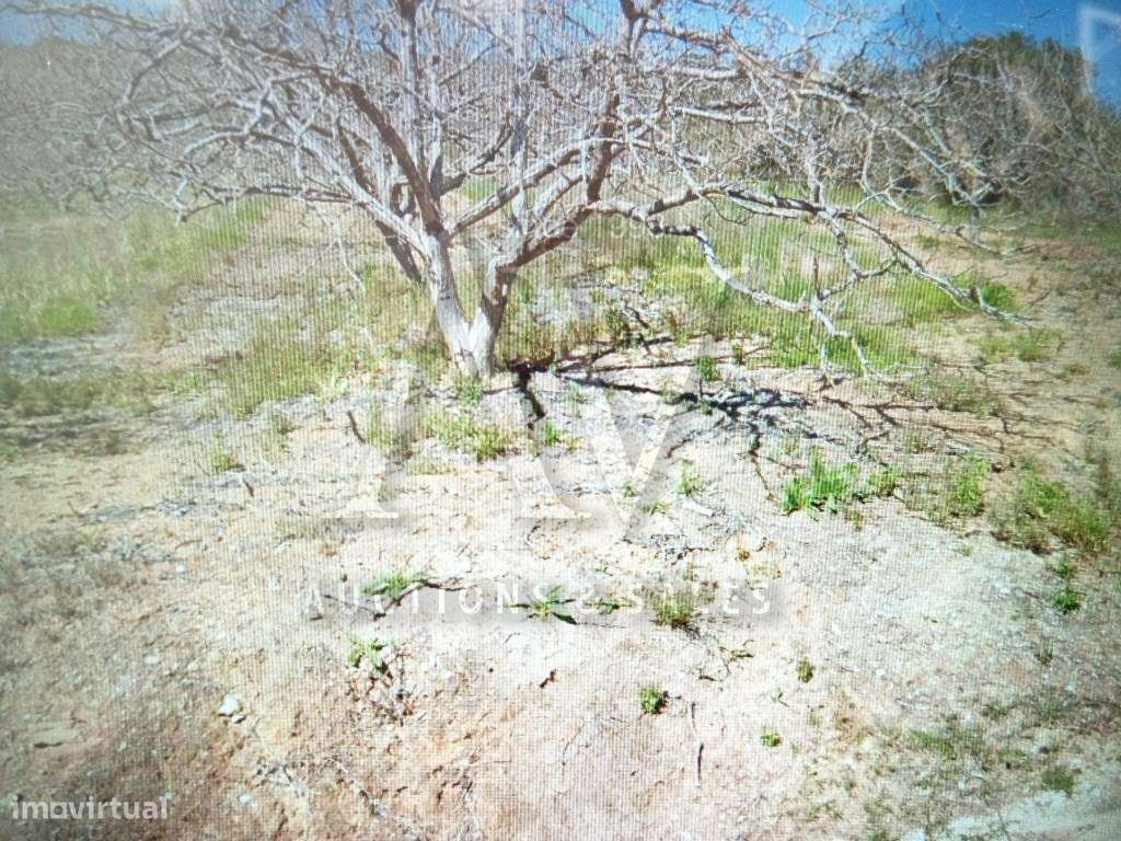 Terreno _ Batalha - Grande imagem: 3/5