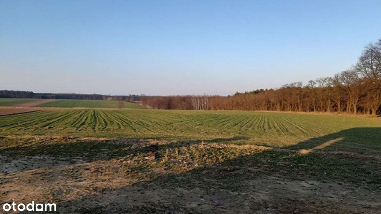 Działki budowlane od 990m2-1121m2, Kamień-0