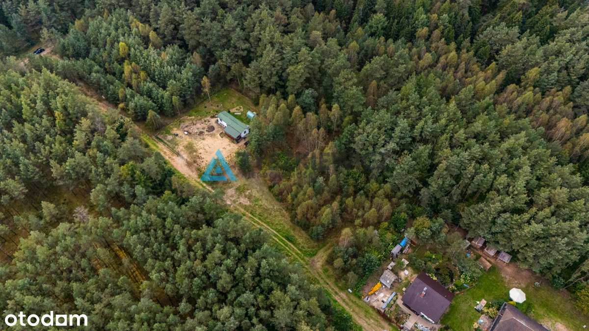 Wyjątkowa działka budowlana niedaleko Stężycy! - Pełny obrazek: 5/20