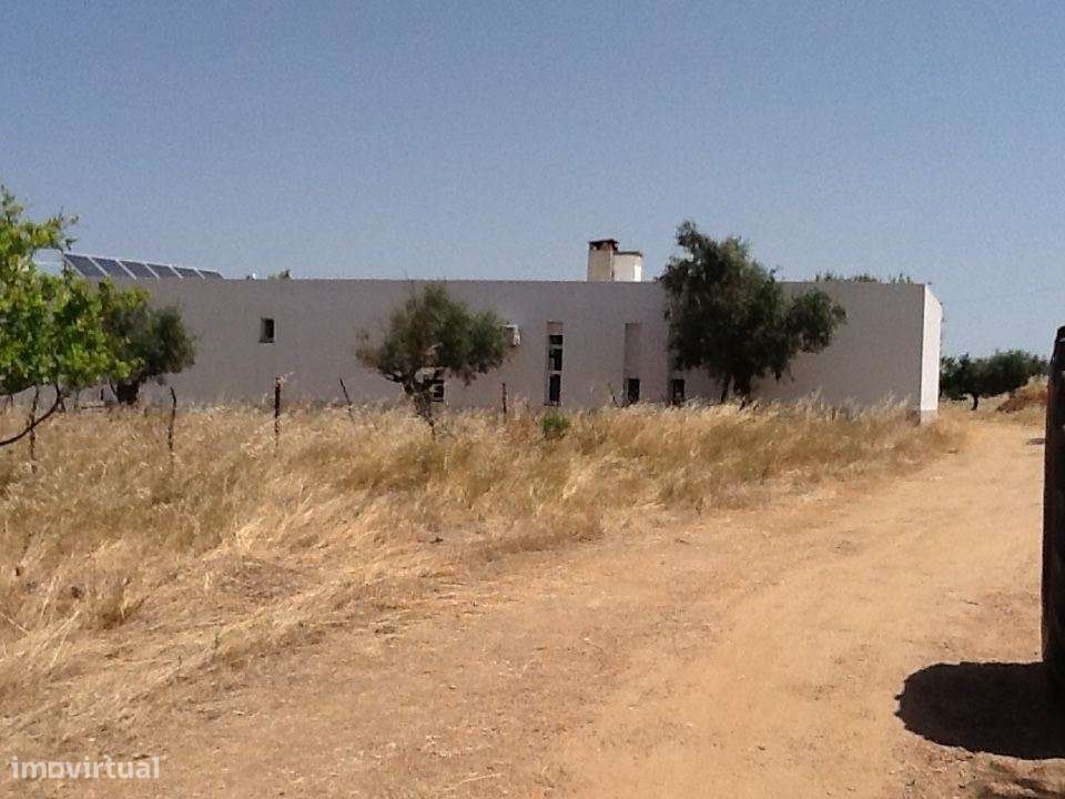 Herdade Mourão 80,44 ha banhada pelas águas do Alqueva-13