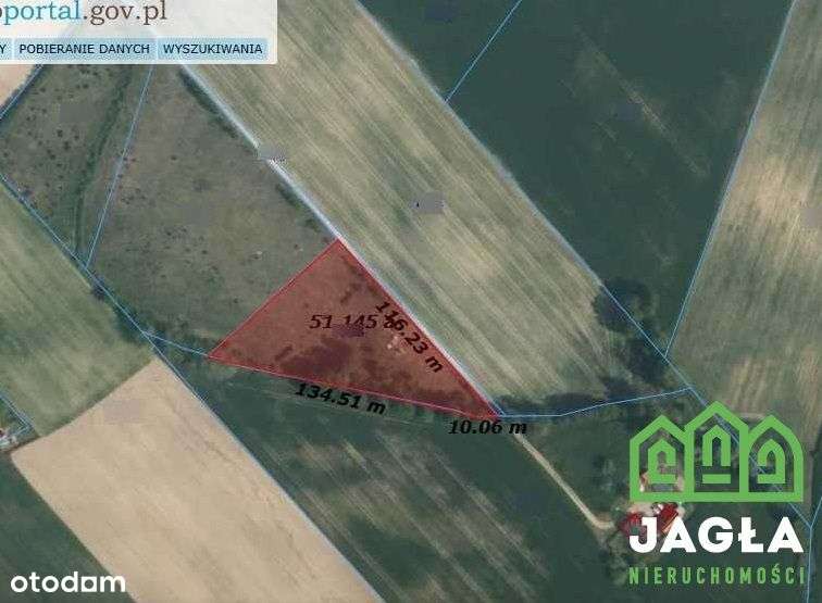 Ostrowite gm.Lniano działka 5168m2 Jez. Ostrowite - Pełny obrazek: 4/5