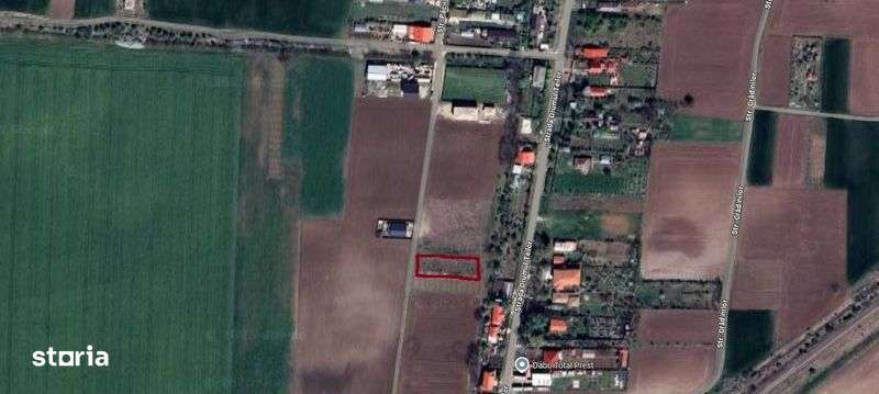 Teren intravilan Caciulati/ Moara Vlasiei 1000mp - Imagine principală: 4/4