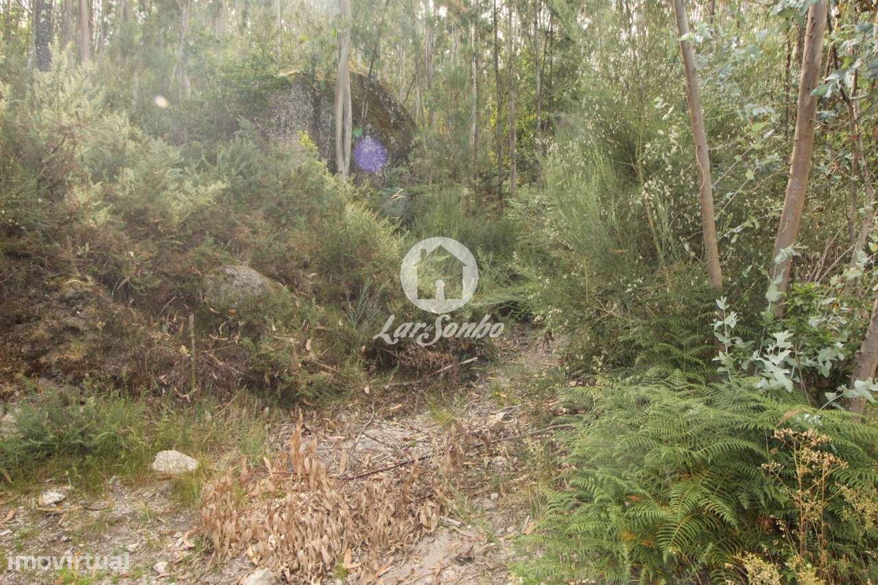 Terreno Celorico de Basto-Borba da Montanha - Grande imagem: 4/4