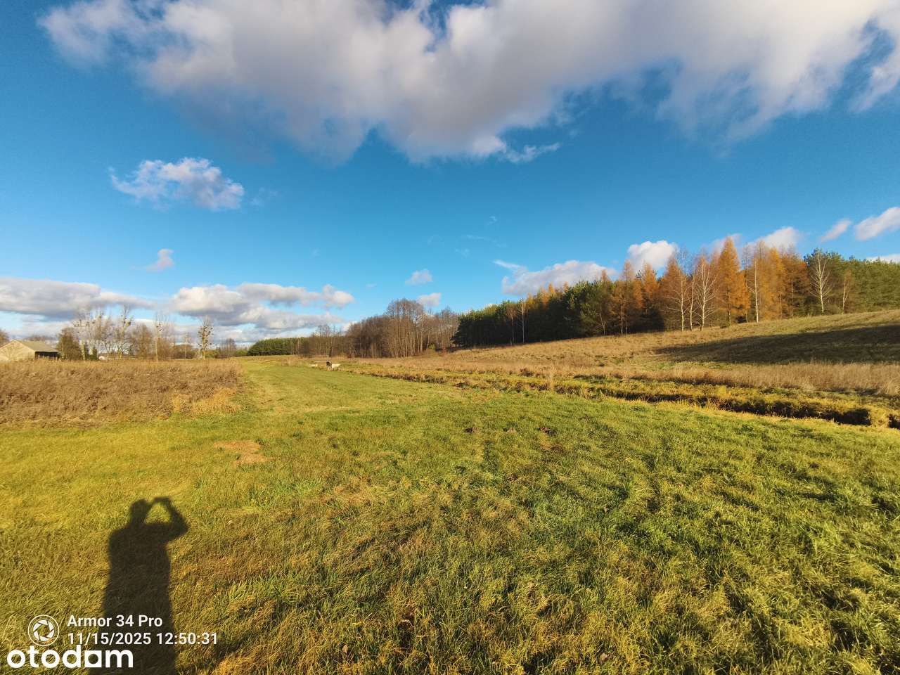 Działka z linią RZEKI Orla z WZ w Puszczy Białowieskiej, Pełne media-11