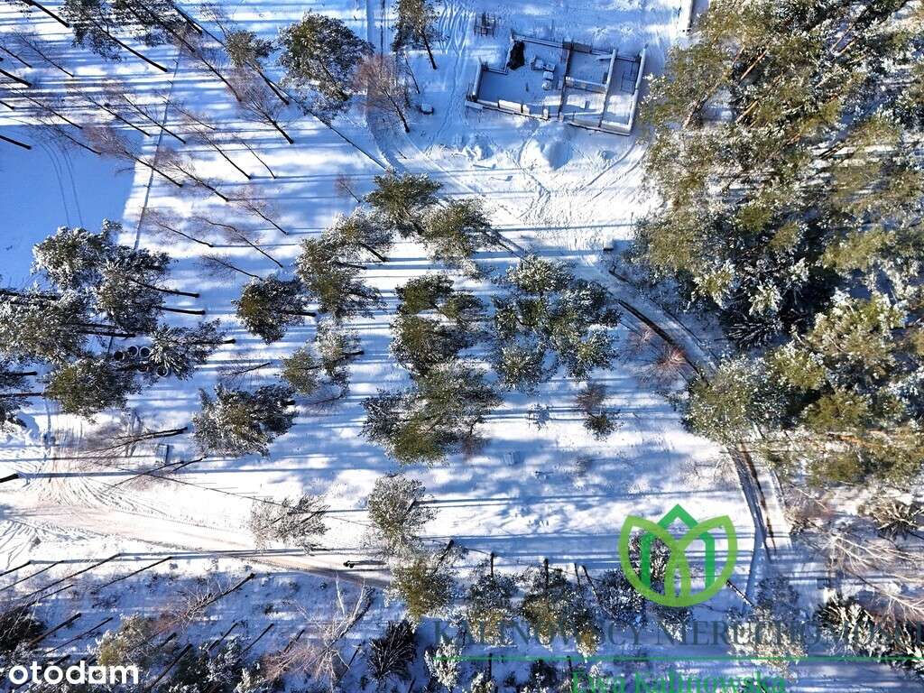 Wyjątkowa działka w Sajenku-2