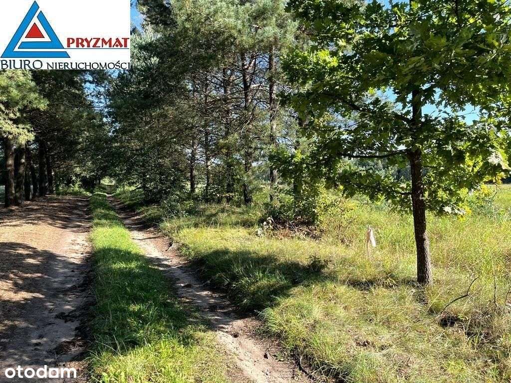 Kolonia Maruny - Działki Do Sprzedaży!-5