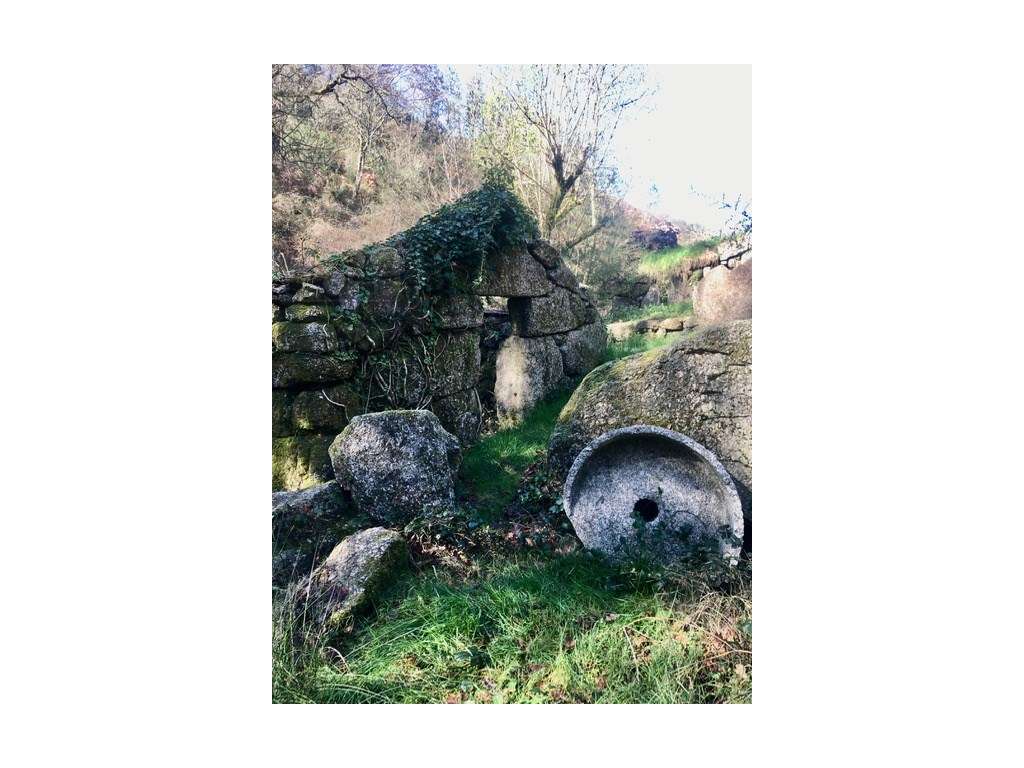 Moinhos Para Recuperar OPORTUNIDADE-0