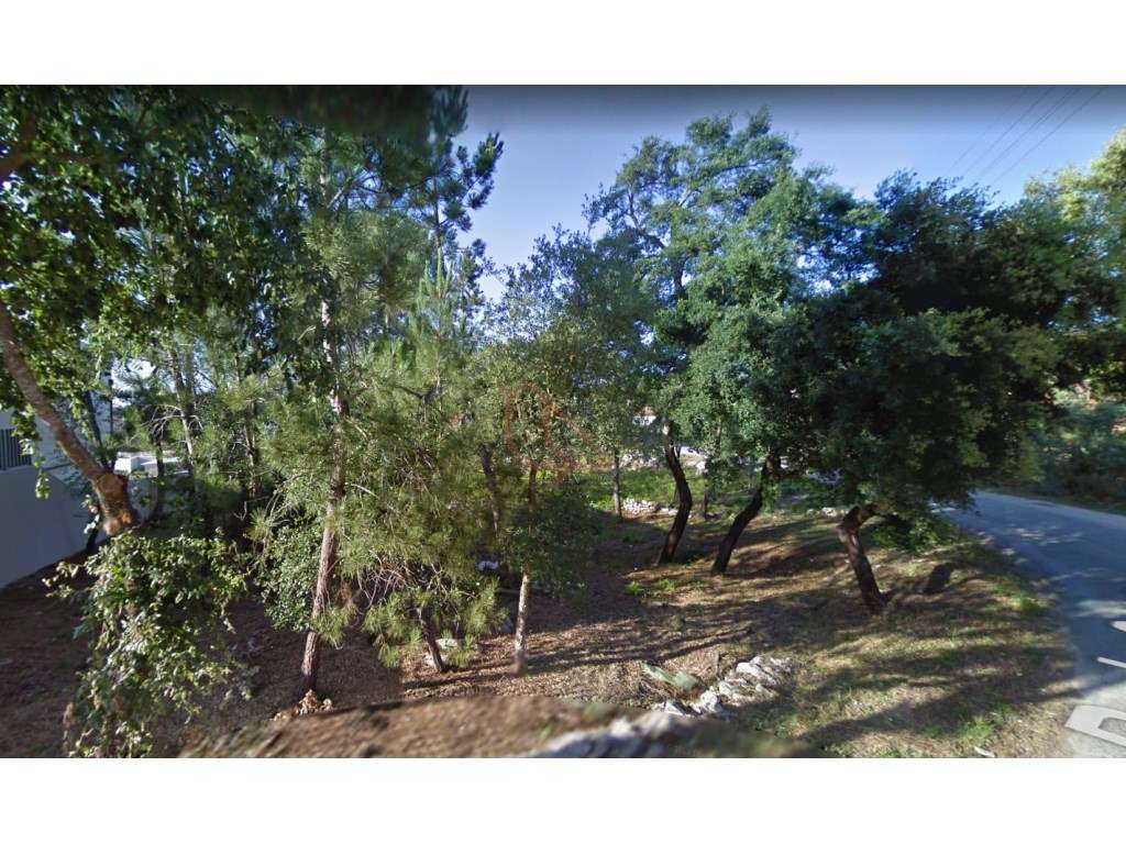 Terreno para Construção / 1 Moradia / Lote com 1120 m2 / S. Mamede-1