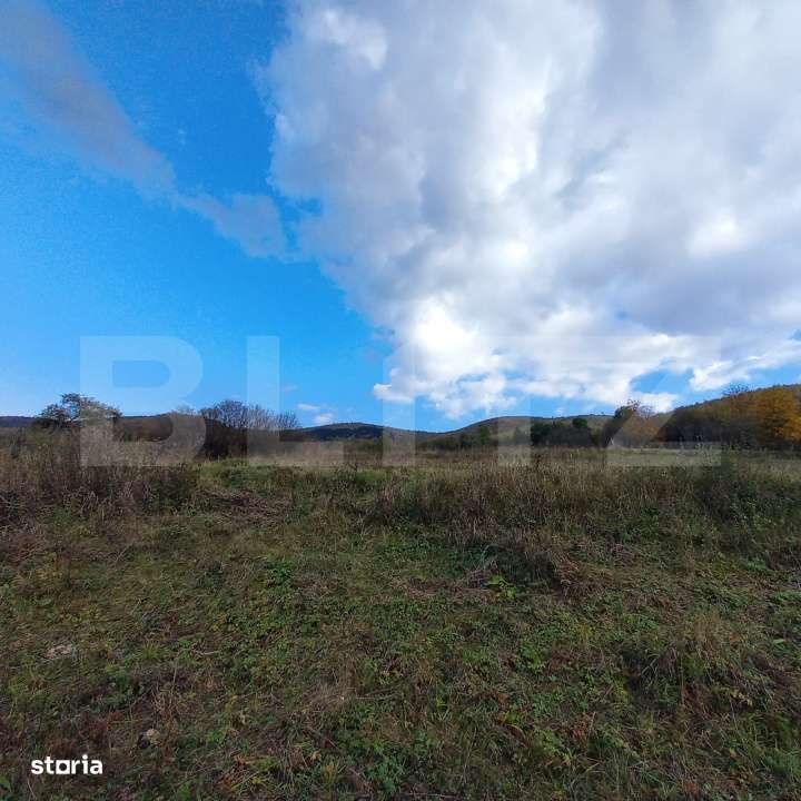 Oportunitate ! Teren intravilan, 1500 mp, sat LIvada , panorama ! - Imagine principală: 3/4