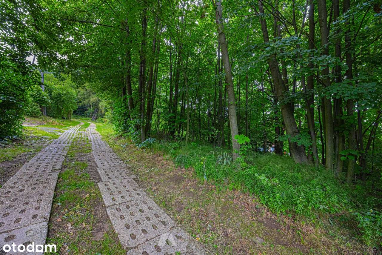 Malownicza okolica, własny las, Mpzp - Pełny obrazek: 4/20