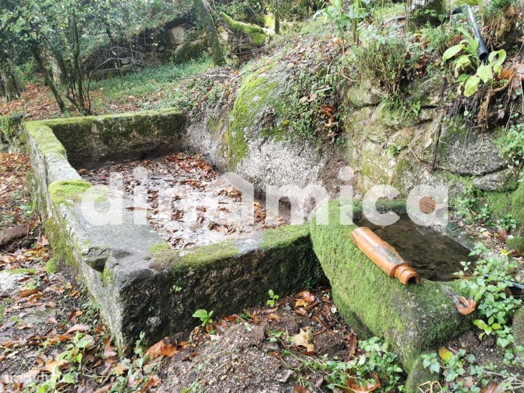 Quintinha no Alto Minho- Potencial único para turismo e lazer ! - Grande imagem: 4/37