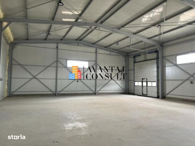Domnesti Vanzare hala noua-6