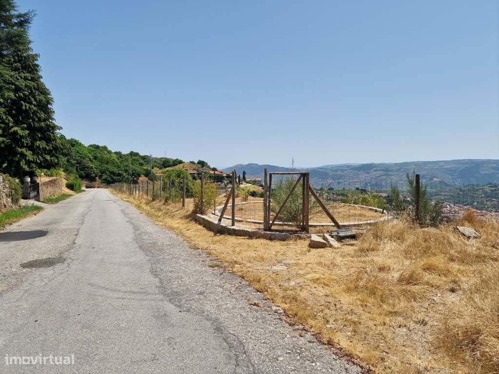 Terreno | Serra das Meadas | Lamego - Grande imagem: 4/6