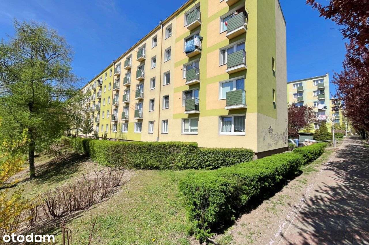 Mieszkanie 2 pokoje do remontu lecz zadbane - Zapo