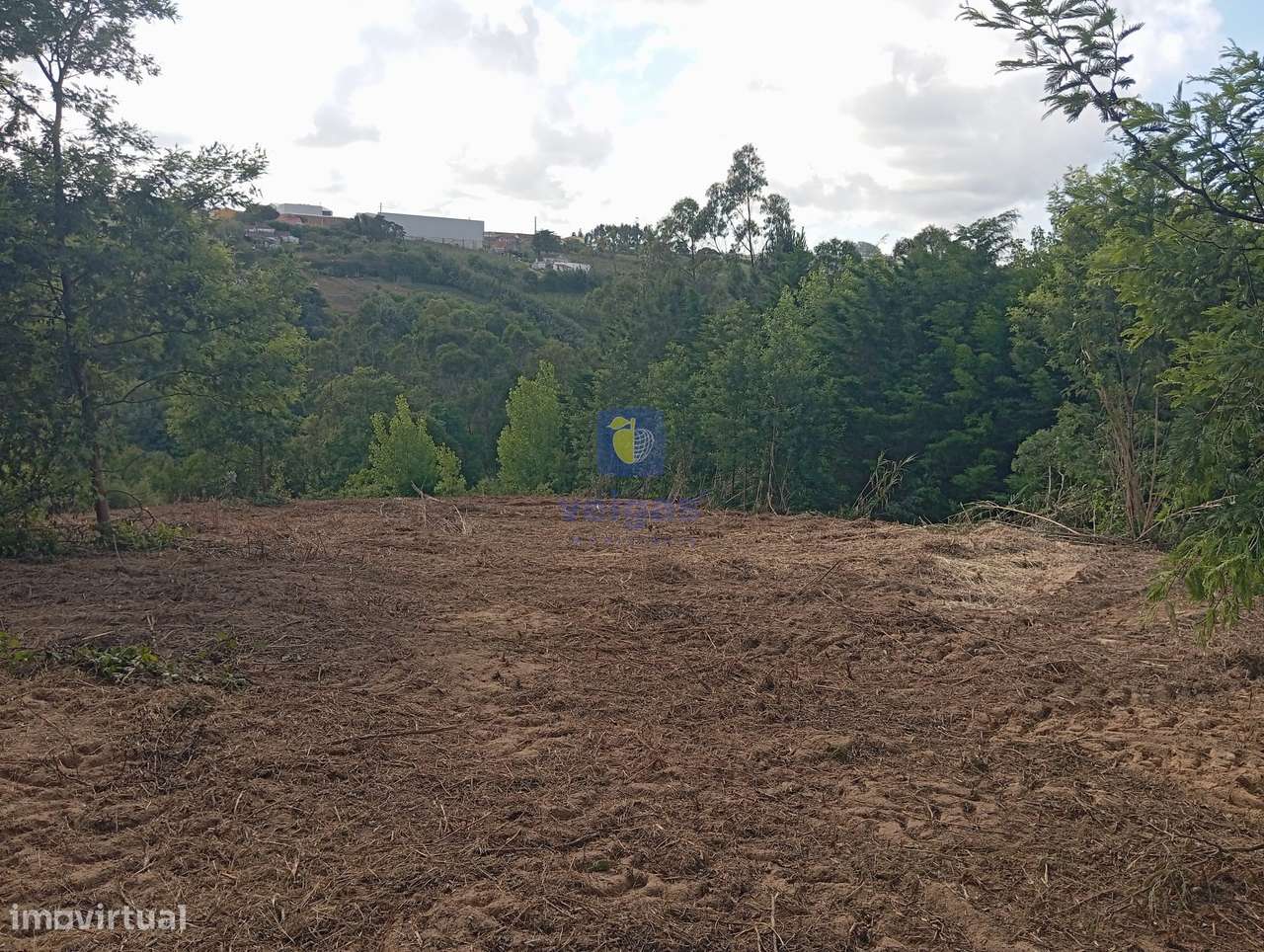 Terreno com 4.920m2, com PDM de Construção, em Zona Calma e com uma Ex - Grande imagem: 5/8