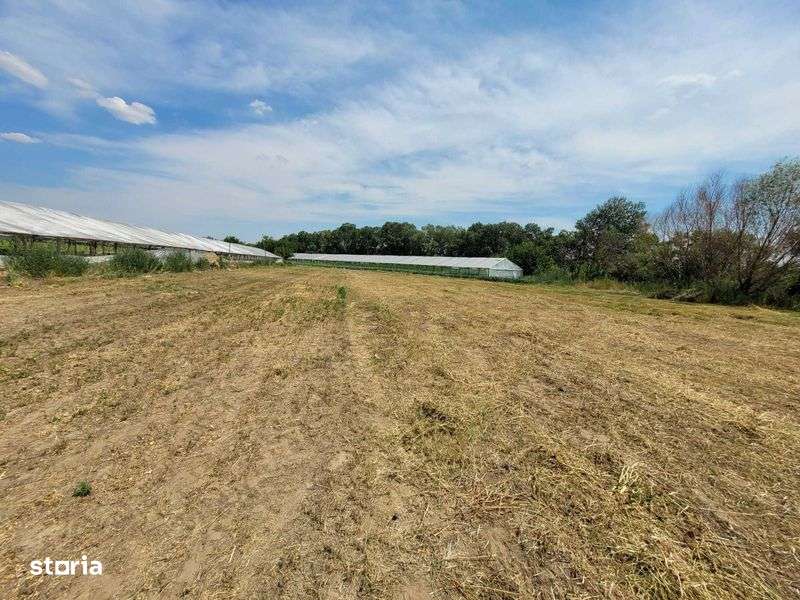 Teren de vanzare intravilan Umbraresti - Imagine principală: 5/6