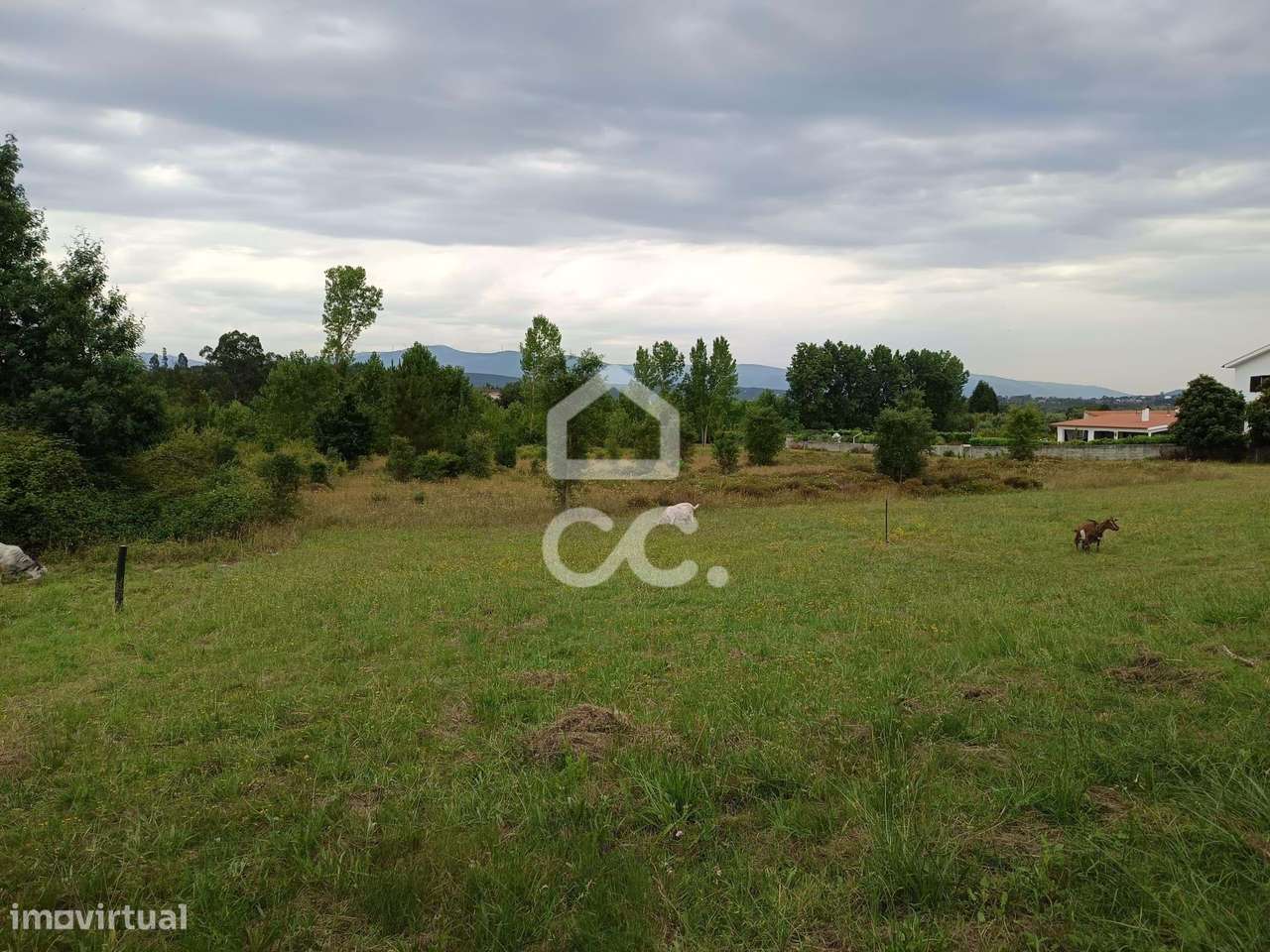 Terreno com 54.809m2 em Vila Nova de Poiares. - Grande imagem: 3/7