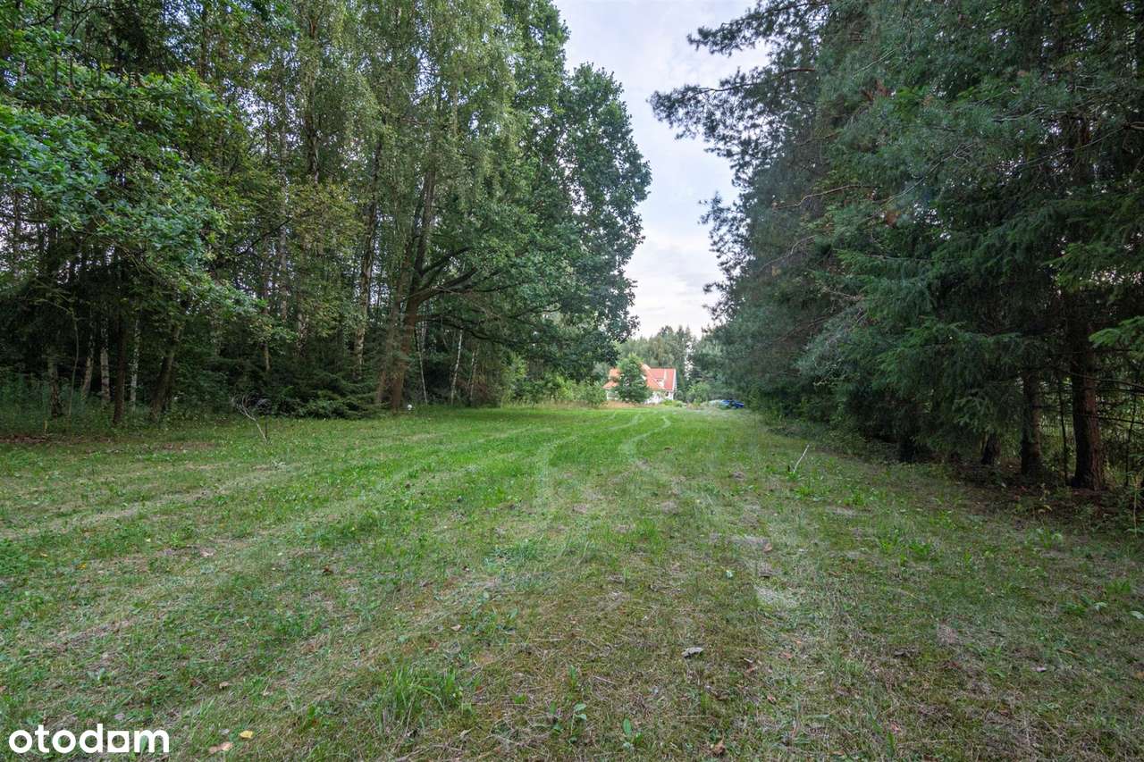 Działka rezydencjonalna w Sobolewie - Pełny obrazek: 4/20