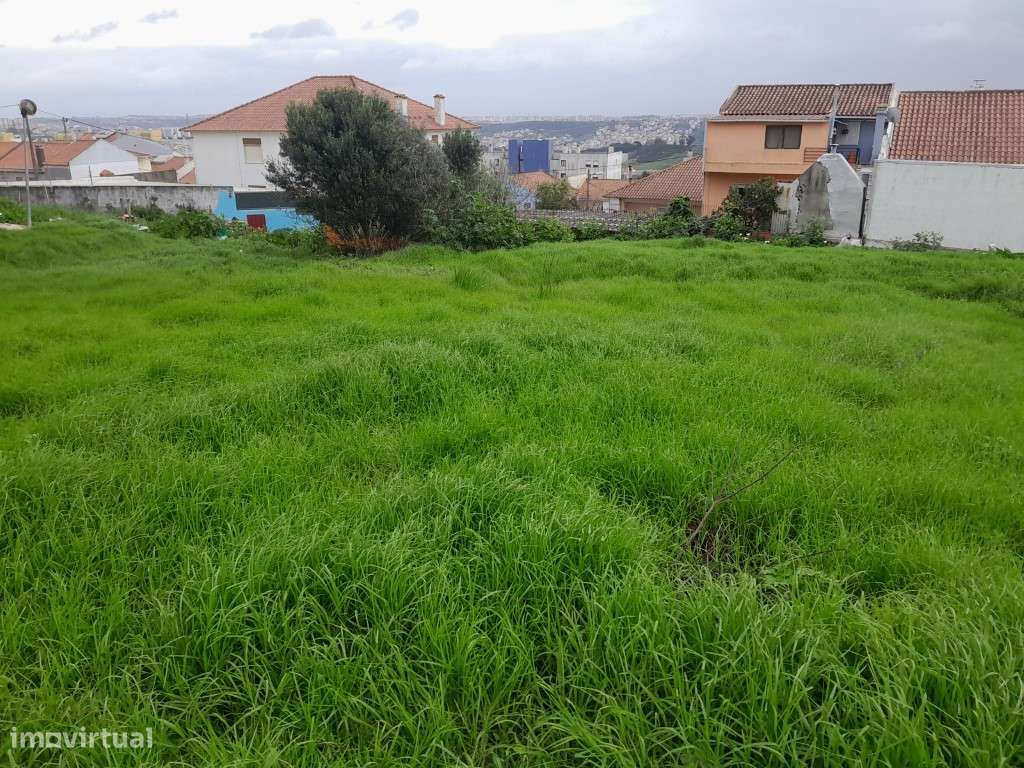 Terreno A-da-Beja - Grande imagem: 4/8